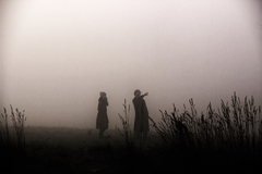 visitors