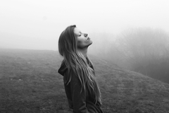 Foggy morning