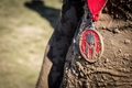 Spartan