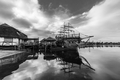 Senec