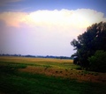 From train