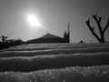 Freezin ´