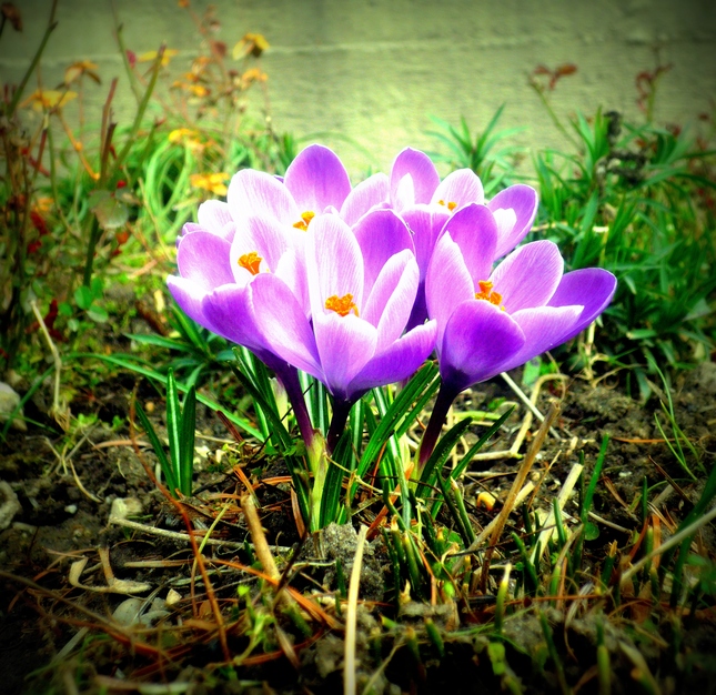 Jar prichádza
