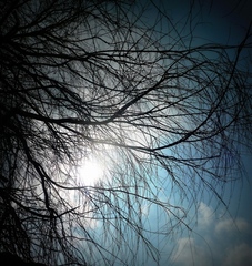 Cloud