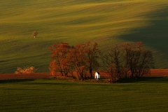 Kaplička