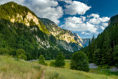 Kaňon Sušica