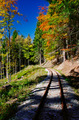 Kysucká lesná železnica
