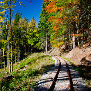 Kysucká lesná železnica