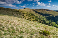 Veľká Fatra - Krížna