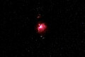 Orion