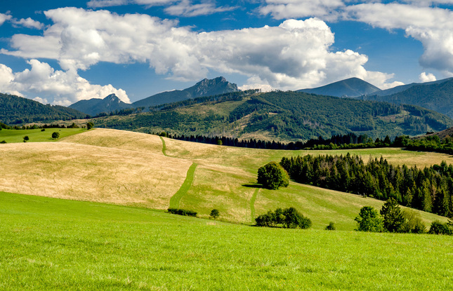 Pohľad z Kysuckej Vrchoviny