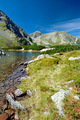 Roháčské Pleso