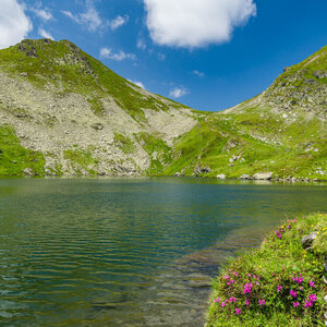 Pohorie Fagaraš