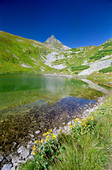 Jamnícke pleso