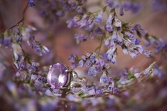 rozprávkový (makro)svet..