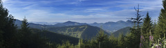 flajšová view