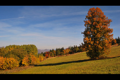 jesenná