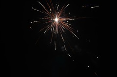pf 2014