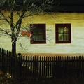 posledná úroda