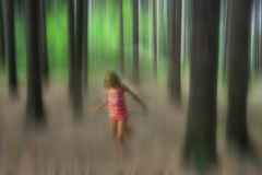 lesný sen