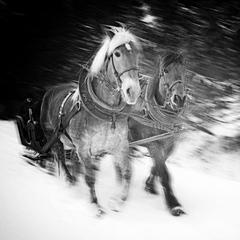 rýchlo a zbesilo II