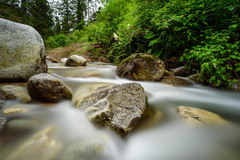 Rozbočovač