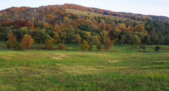 Jesenná