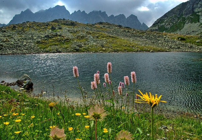 Žabie pleso