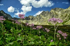 Tatry