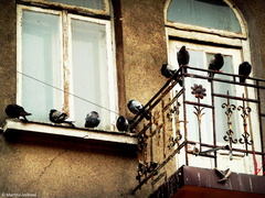 Poznamenané časom ...