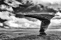 ...Singing Ringing Tree...