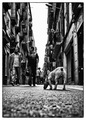 ...doggy...