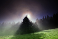 Strom snov