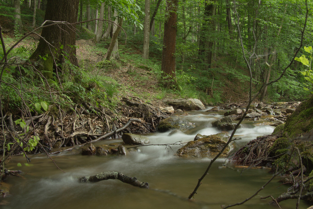 Watter flows not Waterfalls