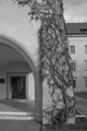 Krakow