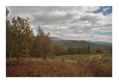 Slovensko