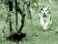 Prepadnutie 1