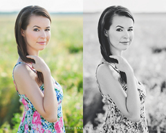 Miška vo farbe a BW :-)