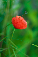 Mak a niečo viac :-)