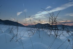 mrazivy zapad