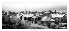 Ladovska zima