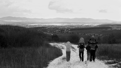 Untitled 1