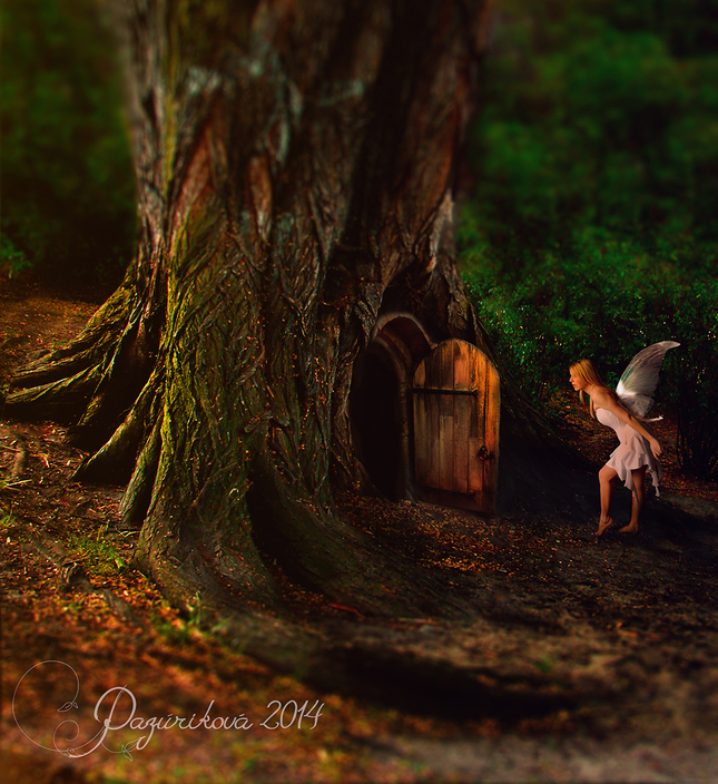 Fairytale home