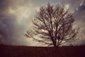 alone
