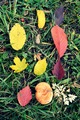 treasure