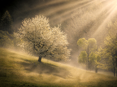 Fiat Lux Liptov