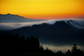 Krajina rána