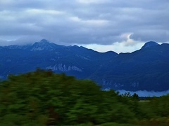 3 linie