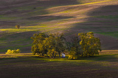 Kaplička sv. Barborky