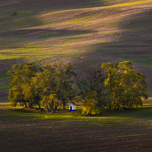 Kaplička sv. Barborky